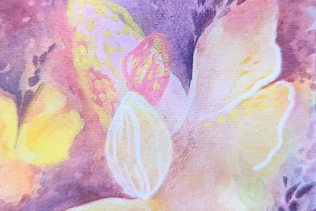 عکس من x نیستم ولی