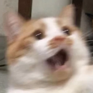 عکس میم مدرسه p²🤌🏻😎