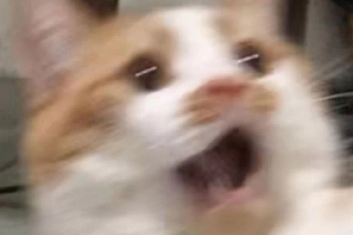 عکس میم مدرسه p²🤌🏻😎