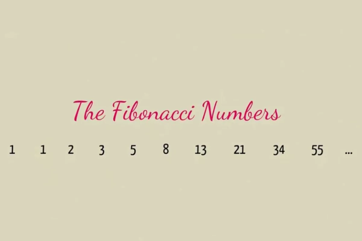 عکس دنباله فیبوناچی؛ الگوی اسرارآمیز طبیعت