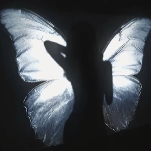 عکس دریـآی بـے ڪـرآن