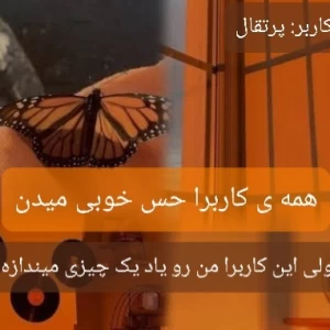 عکس این کاربرا من رو یاد چیزی میندازن...✨🔮