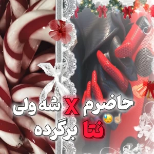 عکس حاضرم x شه ولی نتا برگرده