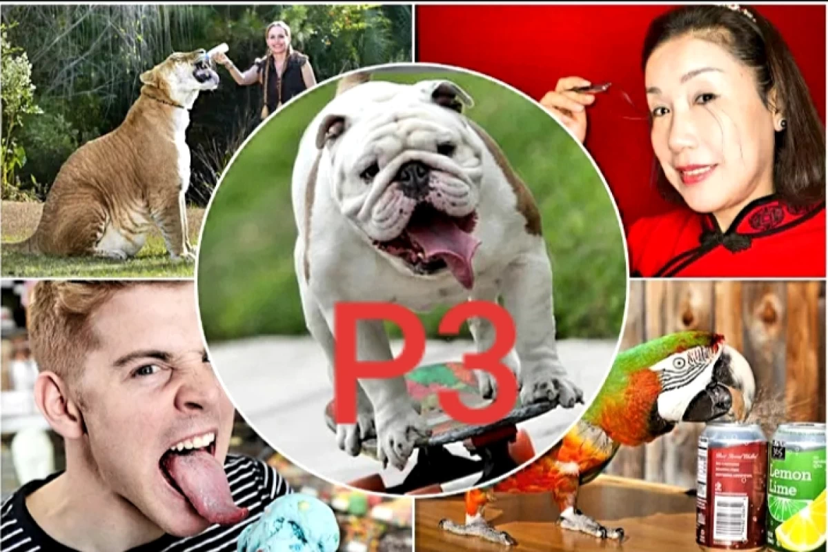 عکس عجیب ترین رکورد های گینس P3