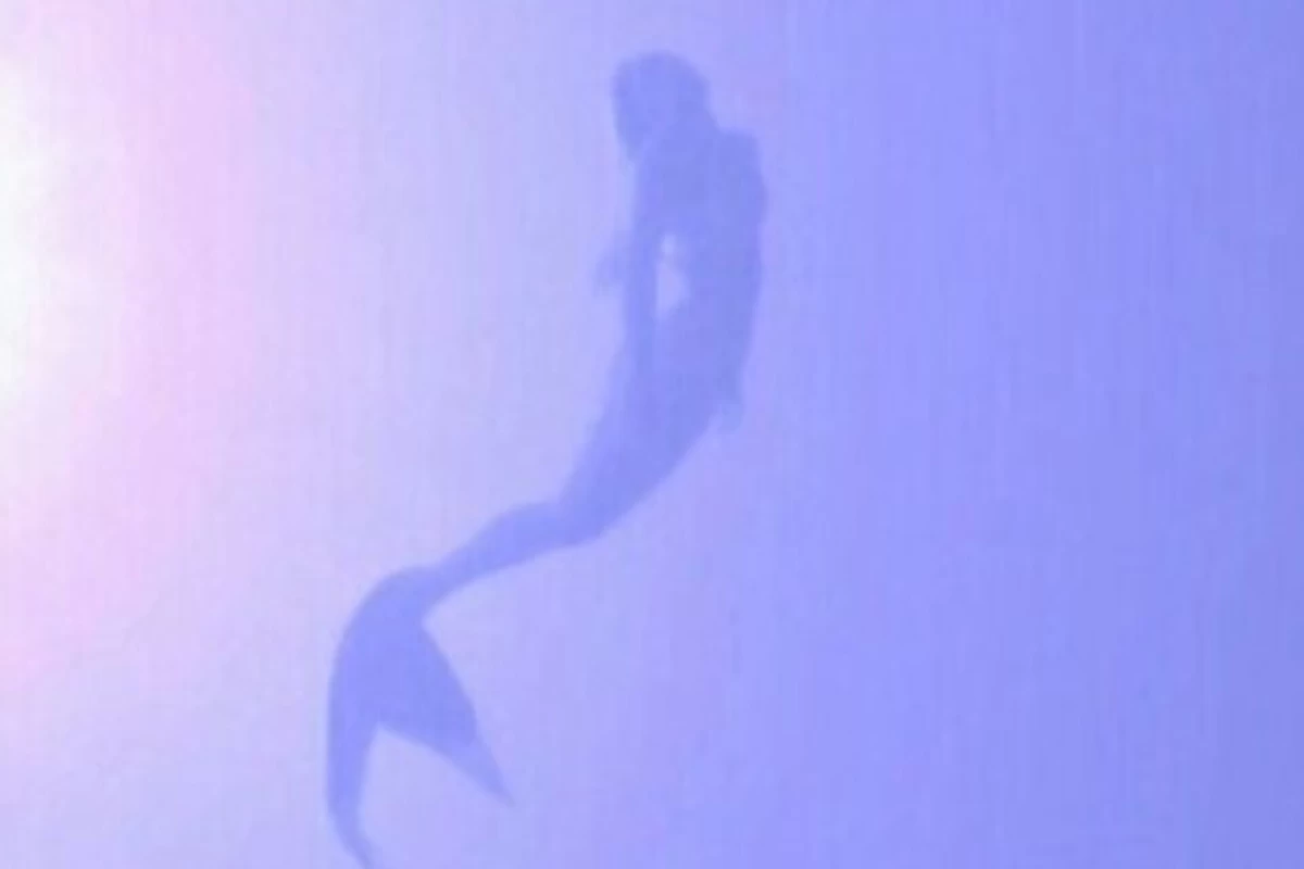 عکس ⋆ : ایده های زمستانی