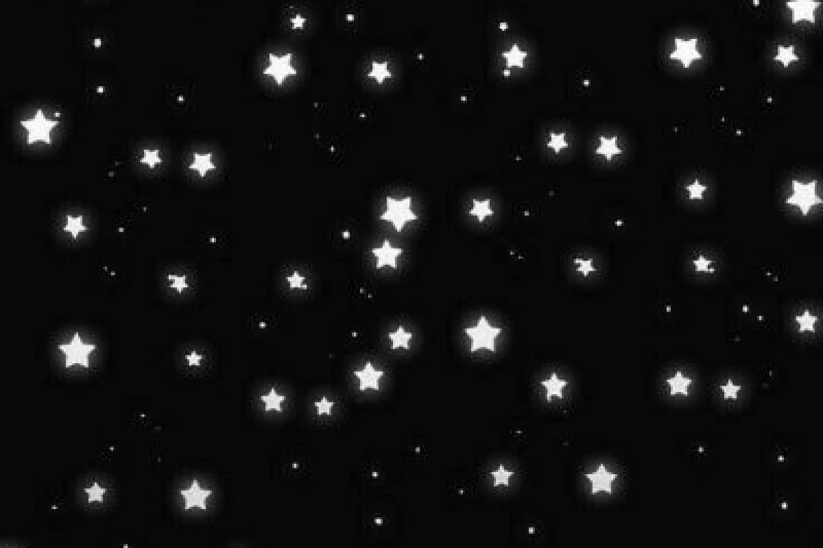 عکس بدون ارایش بدرخش✨️