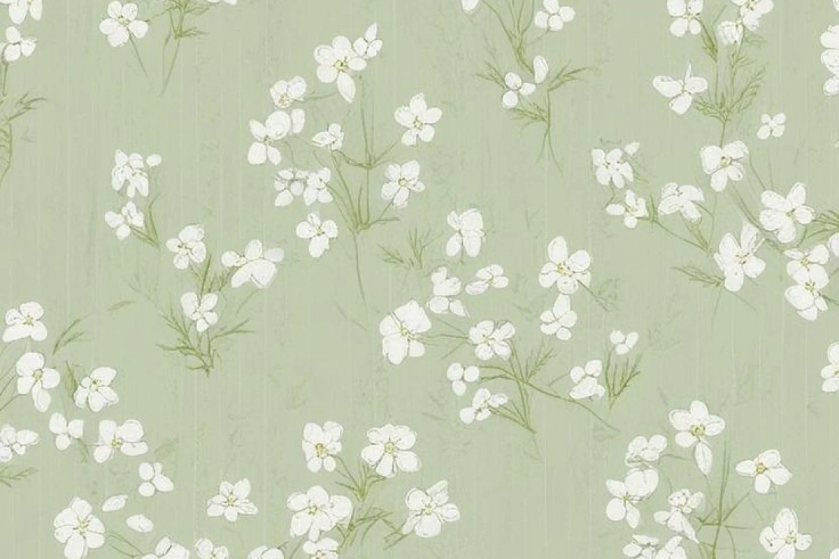 عکس لوئی☆¡