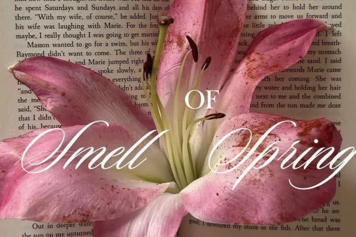 عکس ☁️: وا چــرا اینـطـوری نگـاهم میـکنی؟