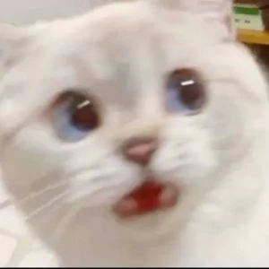 عکس ترجیح میدم که...