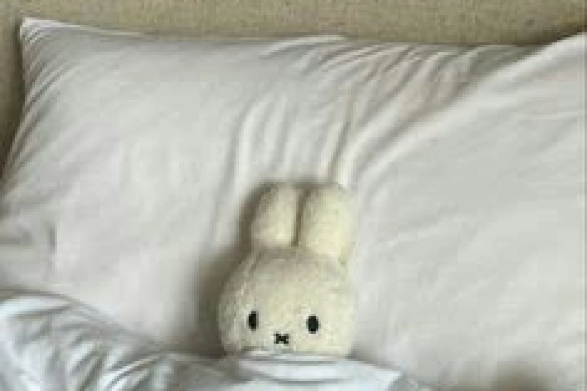 عکس پاپیون کیه؟