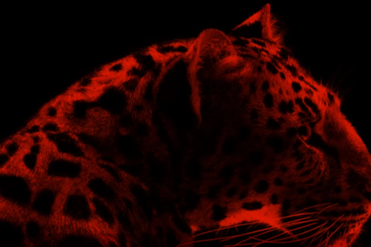 عکس _  دوستت دارم؛همونجوری که...