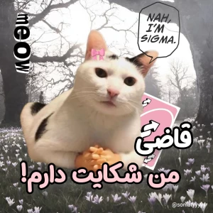 عکس قاضی از ایشون شکایت دارم!