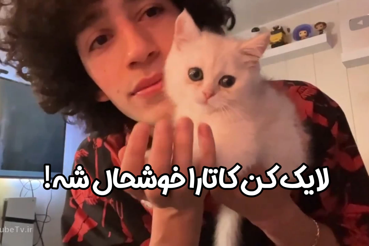 عکس من فن ممد افشارم٫آفکورس که...