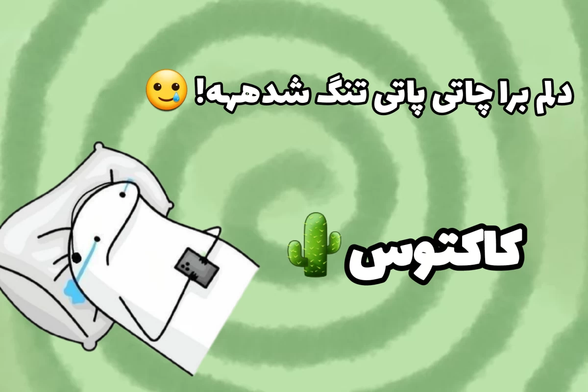 عکس خیلی هم واقعیه!! اصلاهم کیک نیست!!