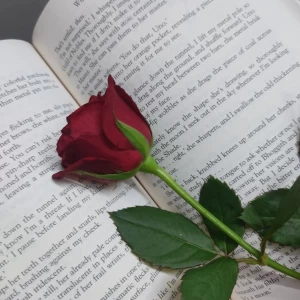 چقدر اهل مطالعه‌ای؟