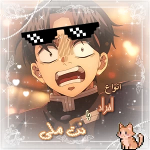 عکس انواع افراد با نت ملی