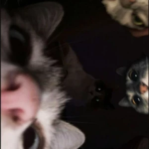 عکس وضعیت زندگی من  در زمانی که نت ملی شد