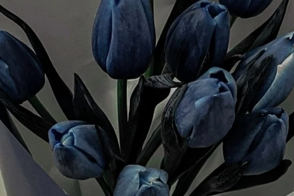 عکس معرفی کیدراما🍓