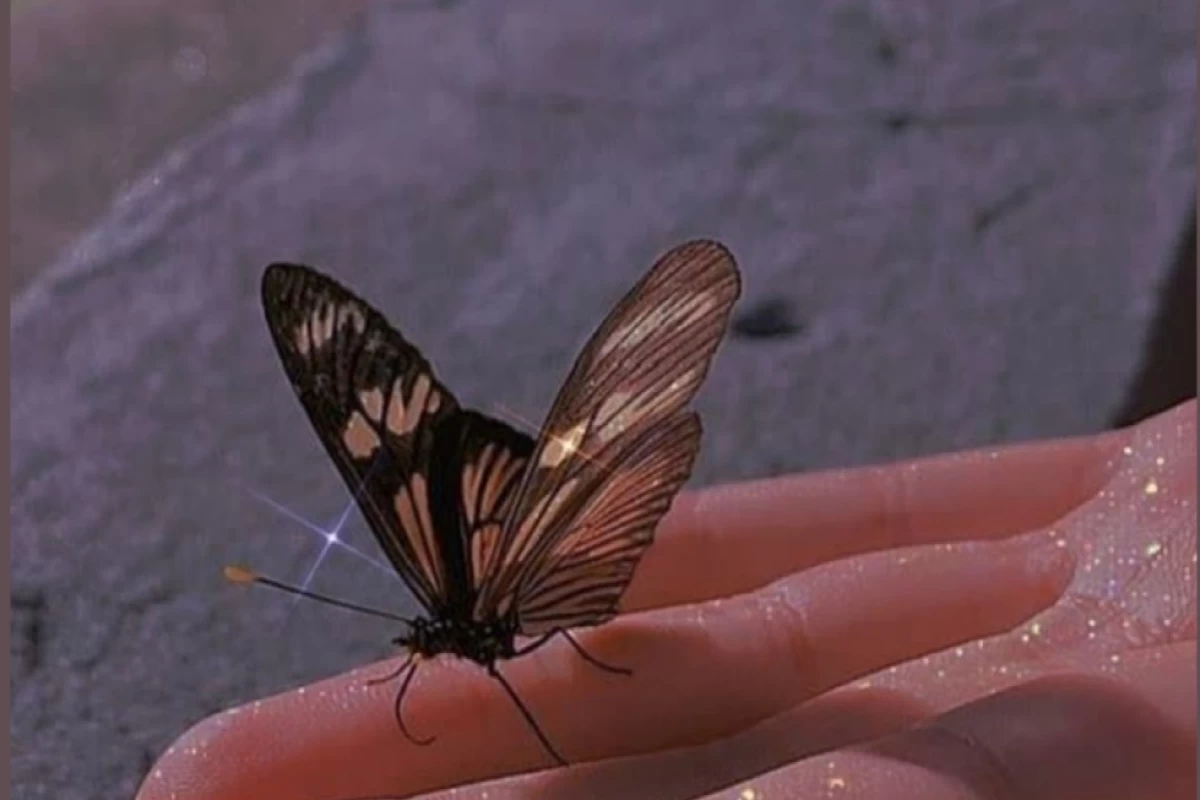 عکس درصد سازگاری شخصیت intp با تایپ های mbti