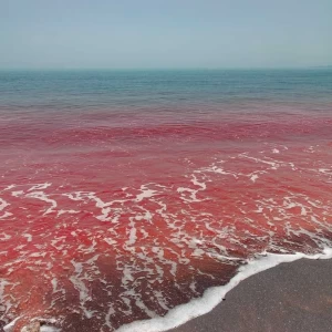 عکس معنی بعضی اسم‌ها