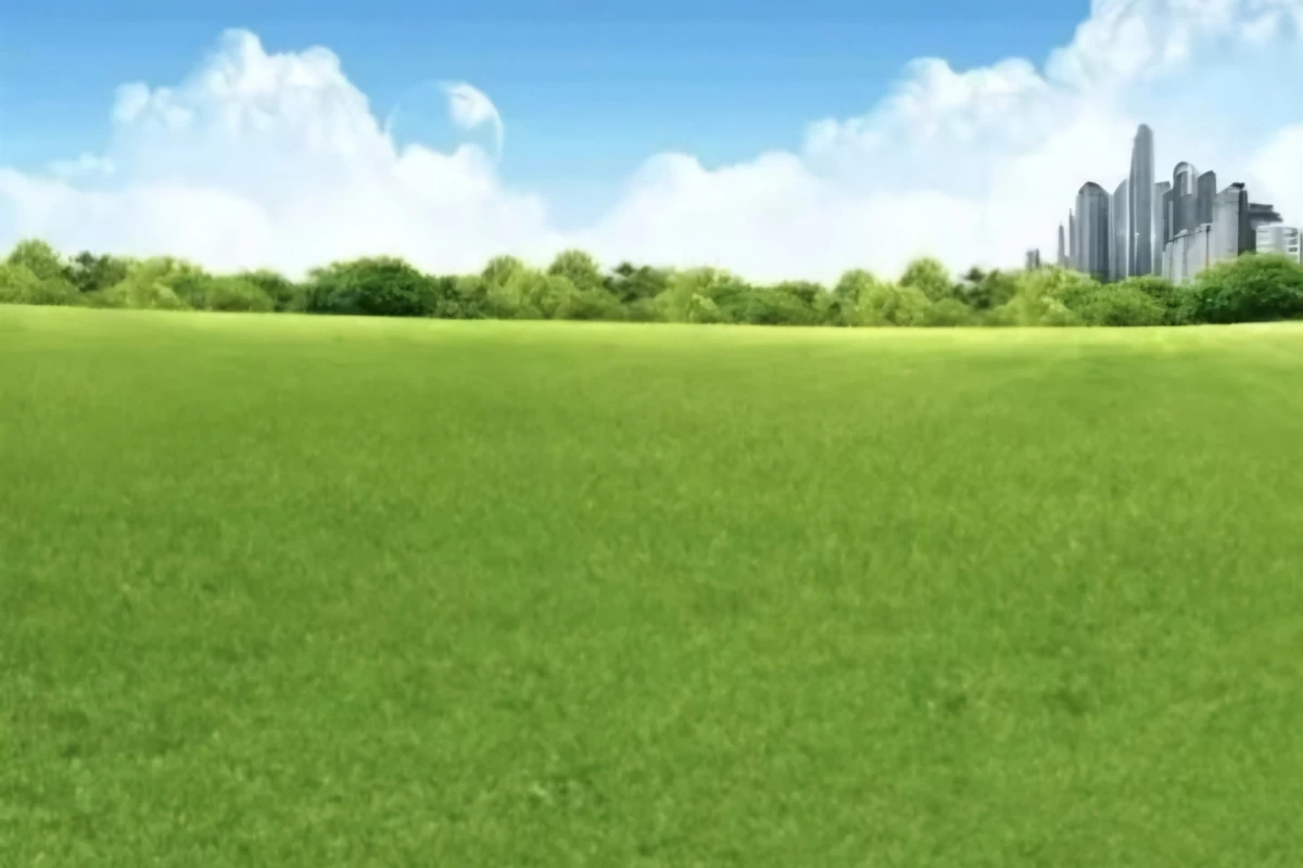 عکس 🪴:با‌ من‌ بودی؟