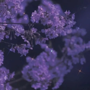 عکس 𝓶𝔂 𝓫𝓲𝓸