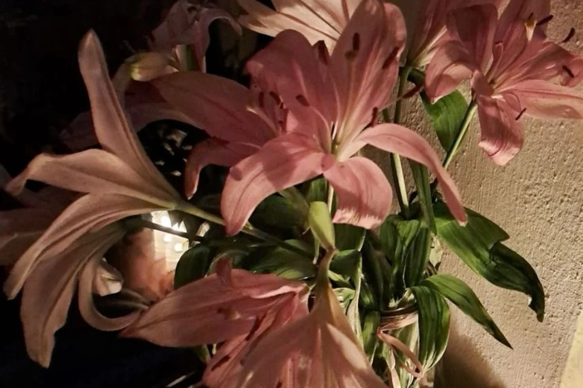 عکس چه رشته ای برای تو مناسبه؟