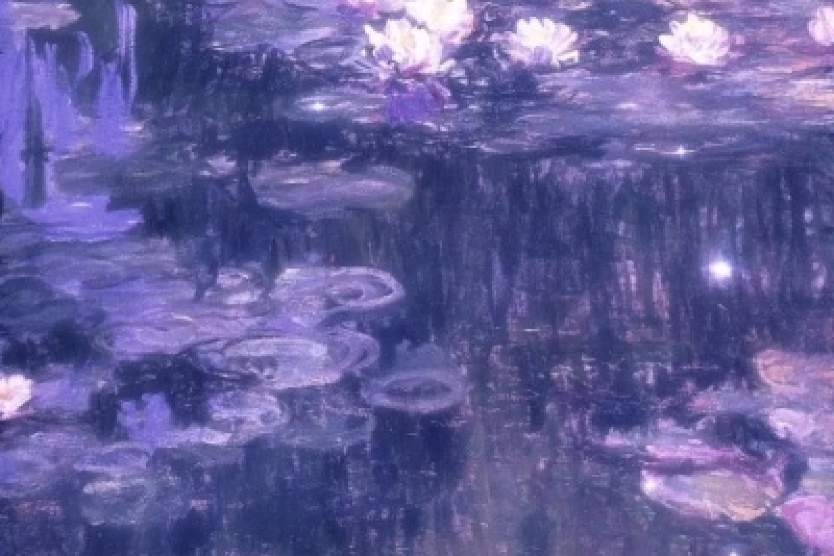 عکس چیزهایی که ای کاش میدونستم!