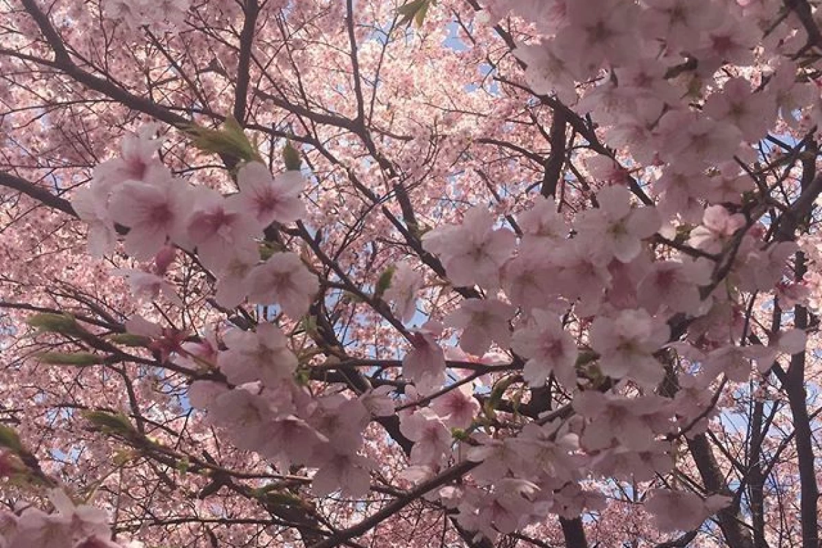 عکس سال 2026 شده و میبینی...