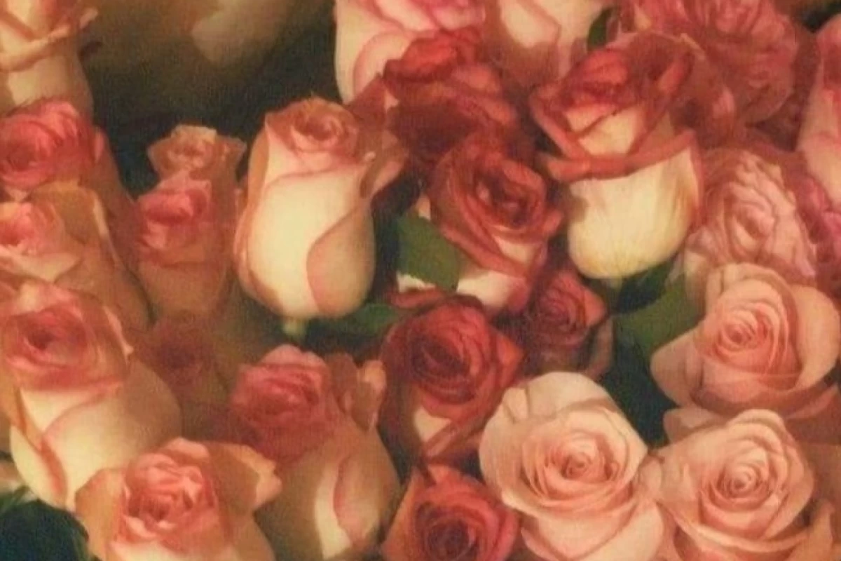 عکس زیبایی حقیقی.