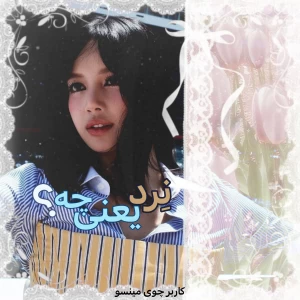 عکس 🍥: نِرد یعنی چه؟