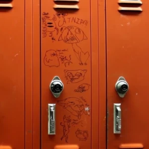 عکس استتیک نارنجی