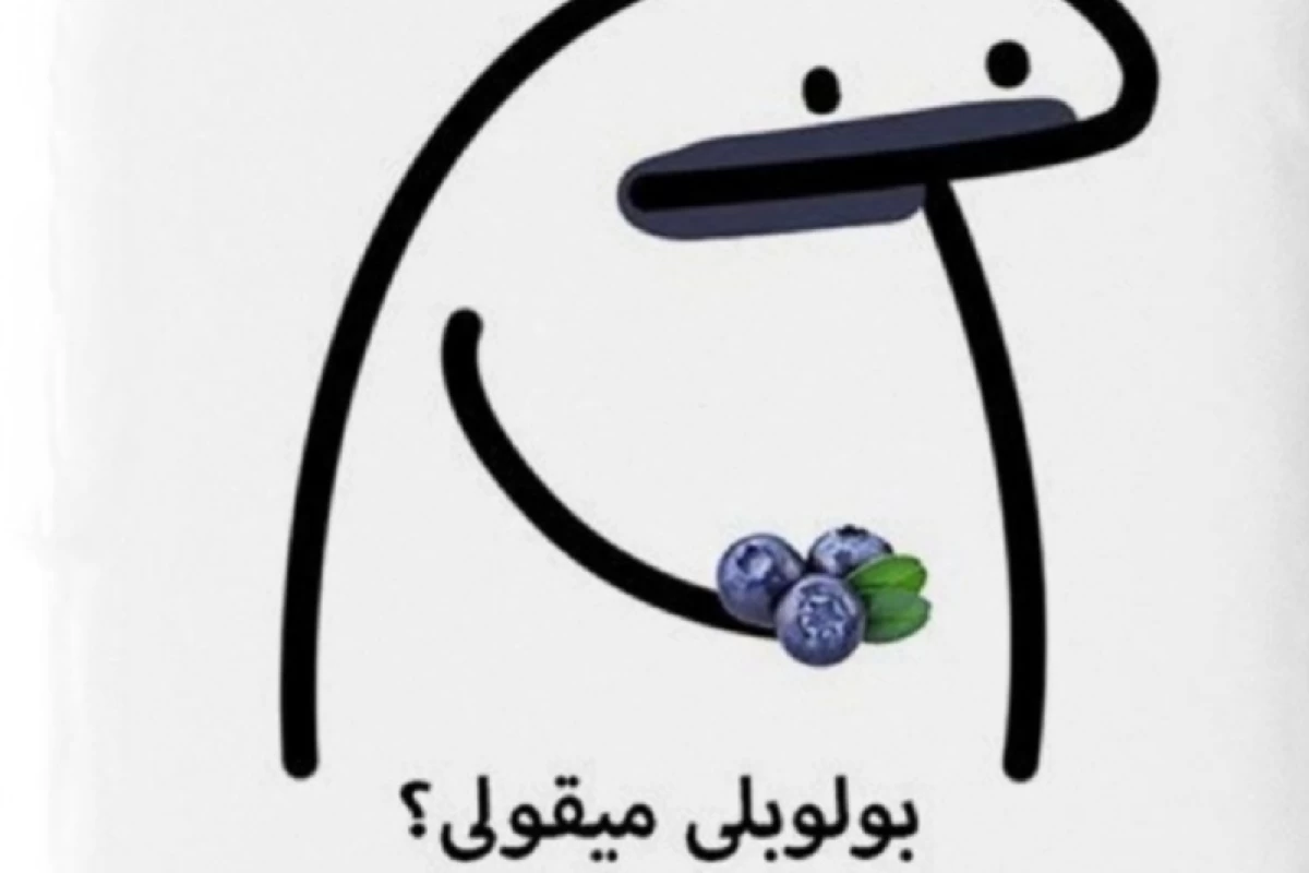 عکس وقتی اینترنت ملی شده چیکار کنیم؟