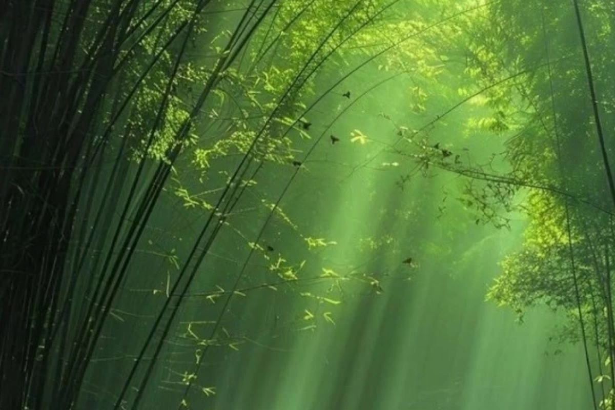 عکس ولی من xهمونطوری که xعه دوسش دارم