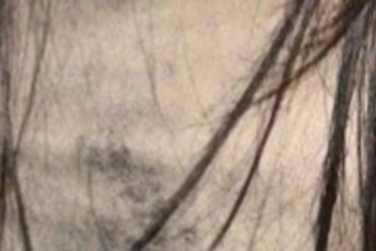 عکس اندکی میم با روکا