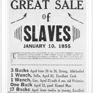 تاریخچه‌ی تجارت برده.