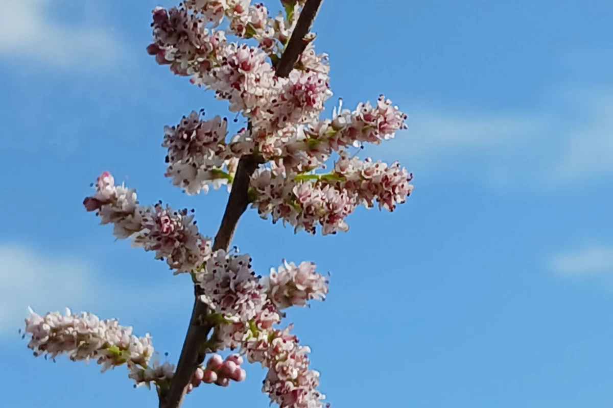 عکس آرت های قبیح من