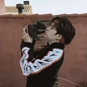 عکس آیدل ها (دوران نت ملیver)