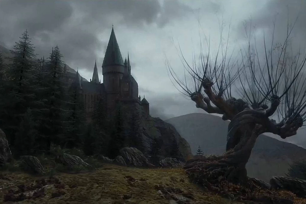 عکس جام اتش شروعی برای یک دورگه