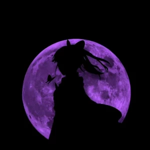 عکس چطوری خدمون رو سرگرم کنیم؟