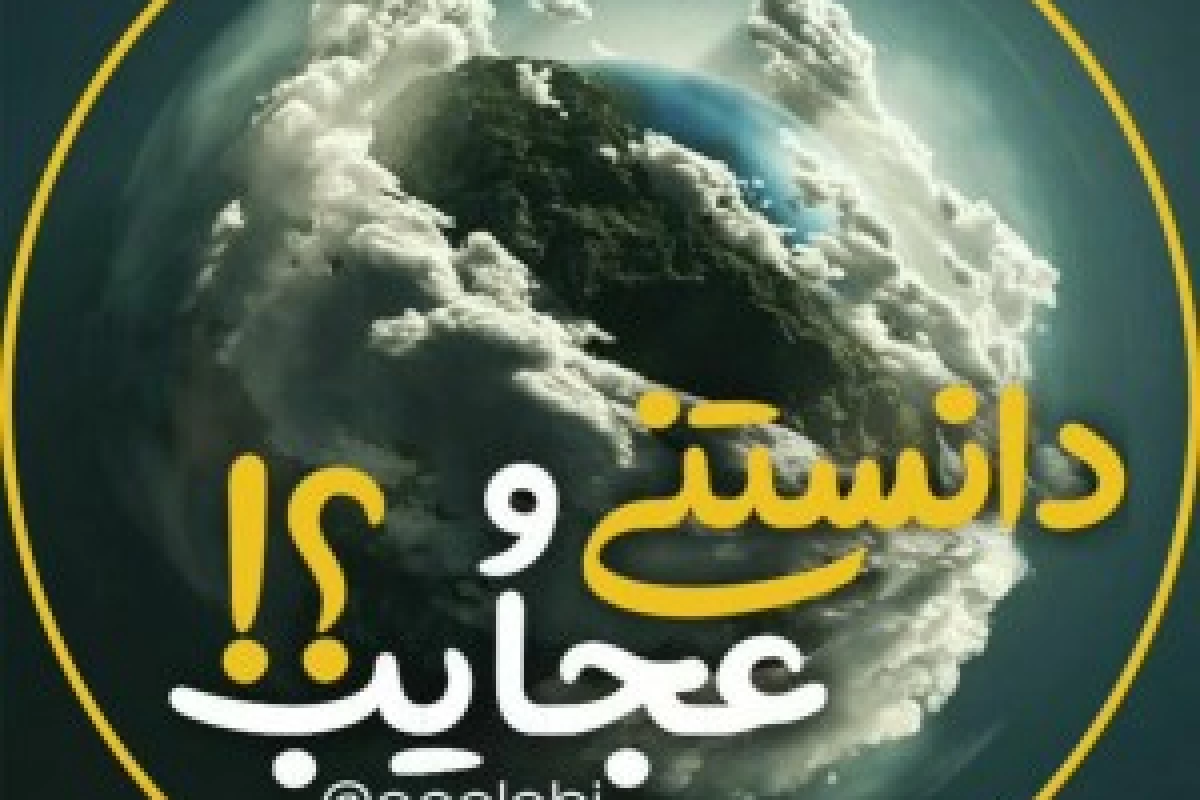 عکس آیا میدانید!؟ 3