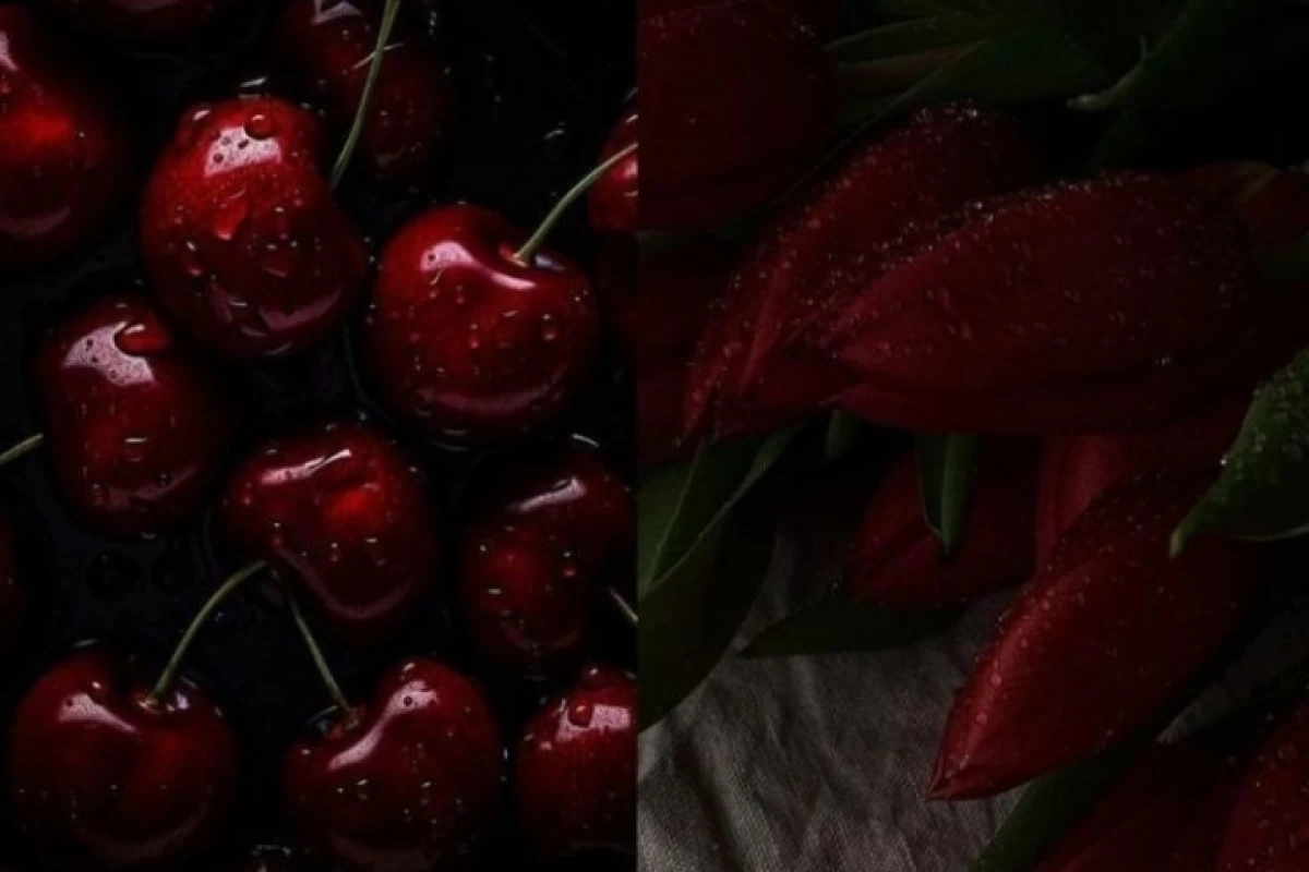 عکس من وقتی ناراحت میشم که به XبگنX