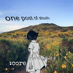 عکس وضعیت ما core: