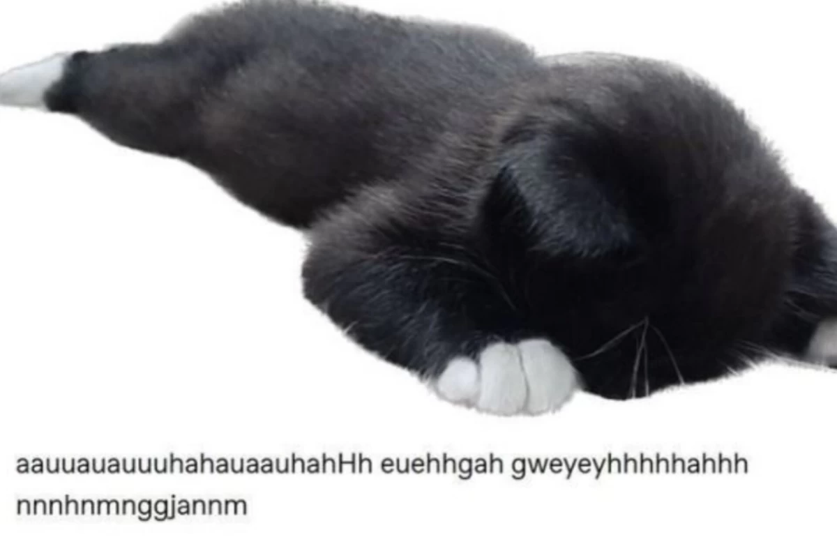 عکس نصیحت های عمه سونیا