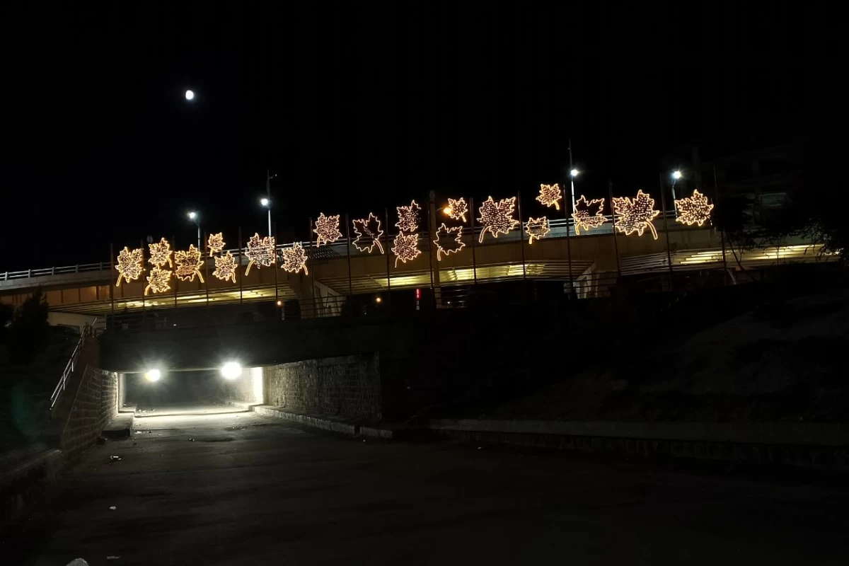 عکس میم از وضعیت تستچی