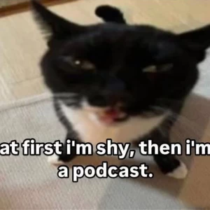 عکس میم رنگی رنگیmbti