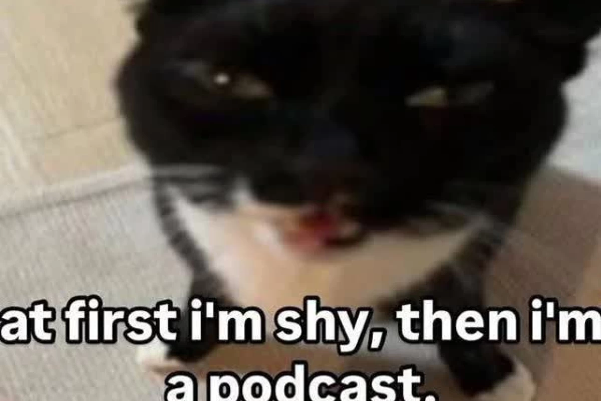 عکس میم رنگی رنگیmbti