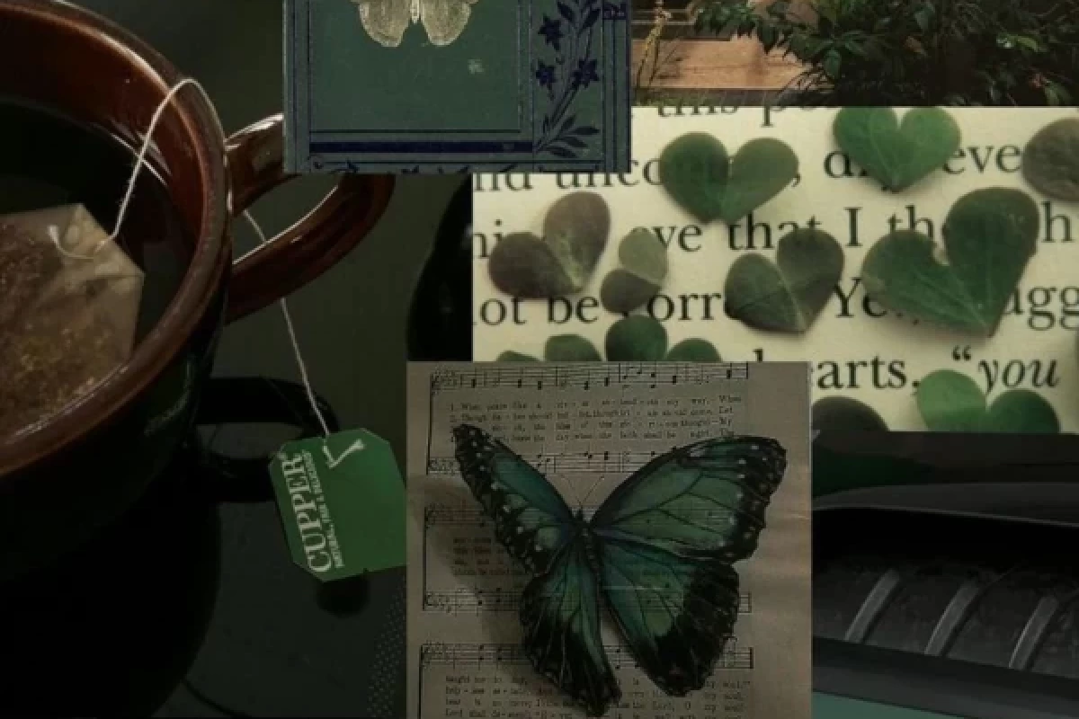 عکس ♧ملکه مرداب♧