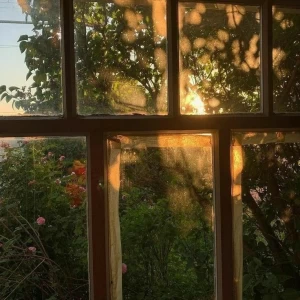 عکس عکسای‌استتیک؛روز رویایی