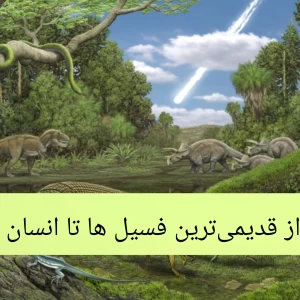 عکس جدول دوران زمین شناسی، از قدیمی‌ترین فسیل ها تا پیدایش انسان